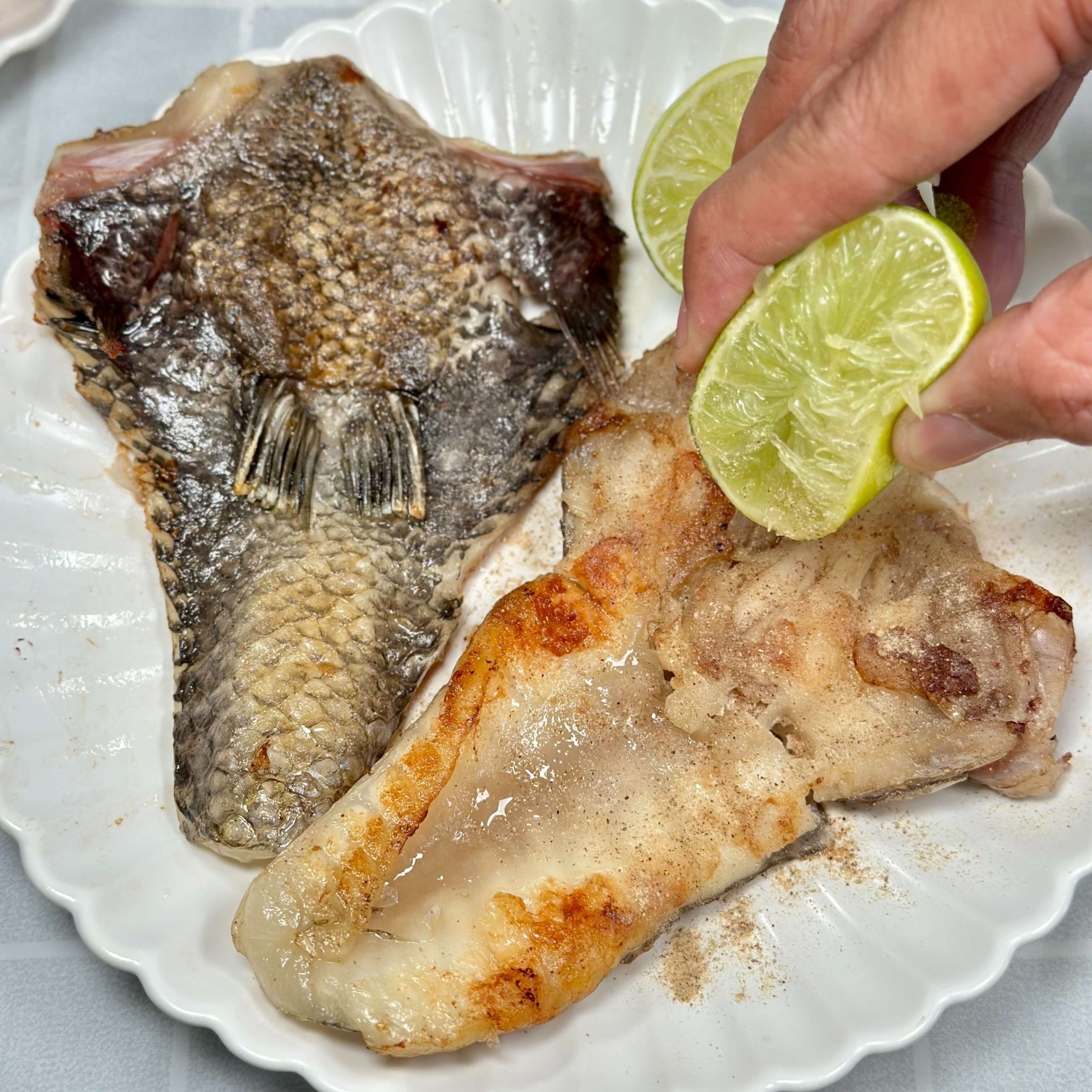 點食衣