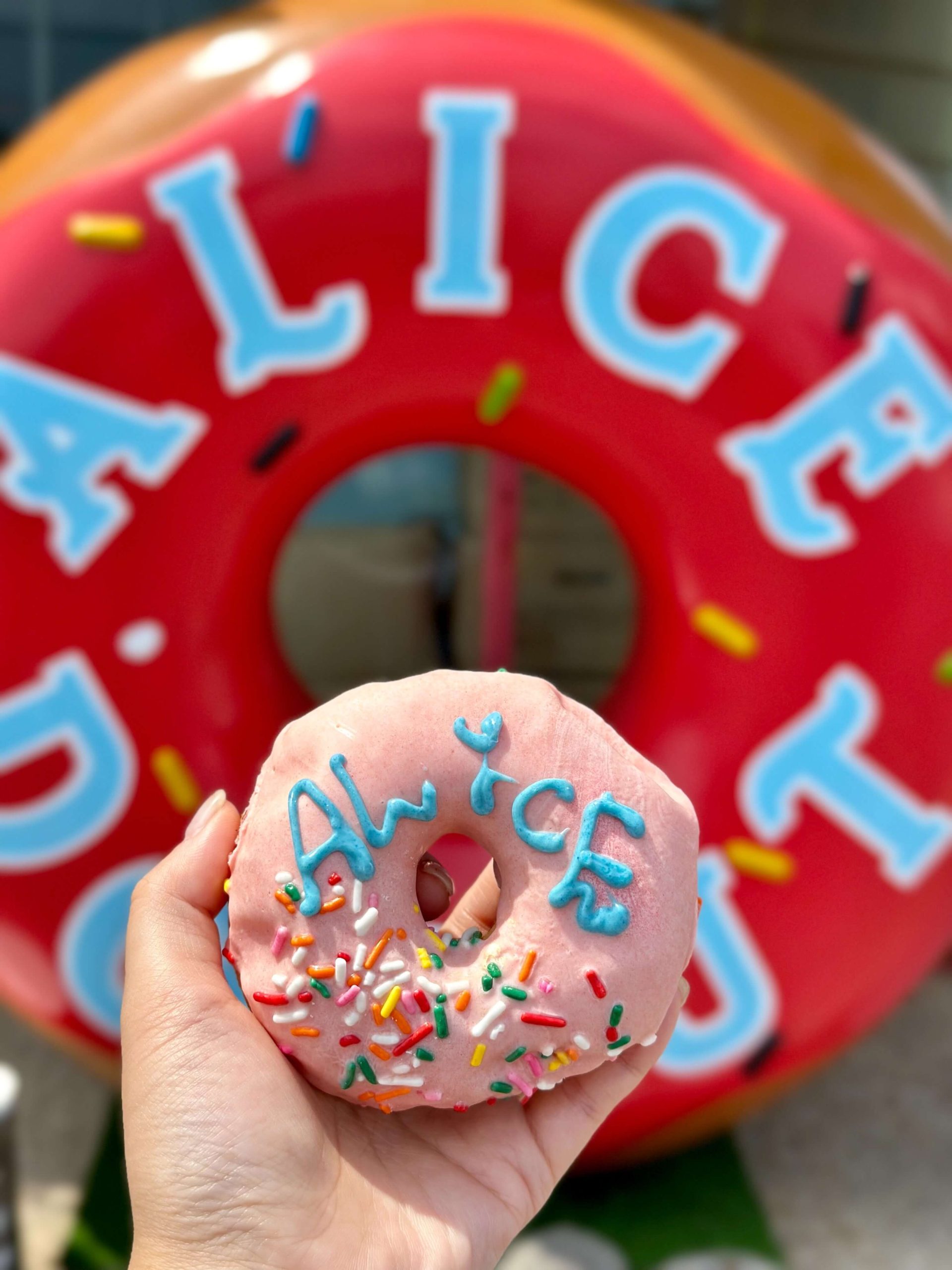 Alice Donut